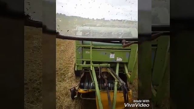Rag'n'Bone Man-Human v mtz. kartina 2.
