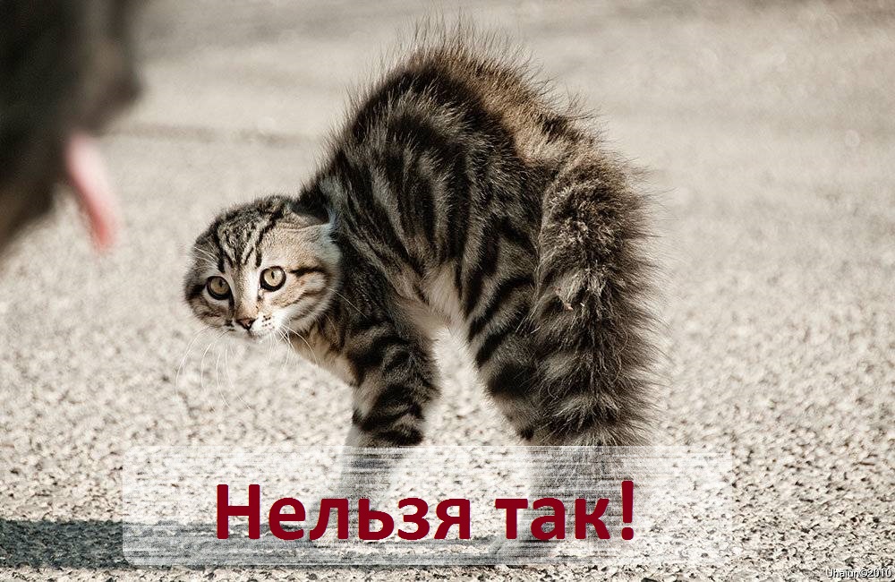Не кричи на меня! Почему на близких нельзя орать. Как не раздражаться на людей.