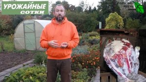 ВОТ ТАК НАДО ХРАНИТЬ КАПУСТУ БЕЗ ПОТЕРЬ! Проблемы капусты при хранении.