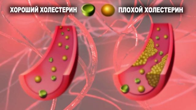 Яйца чистят сосуды!? смотреть онлайн