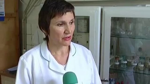 Тиса-1.Мале, вредне і кусюче.