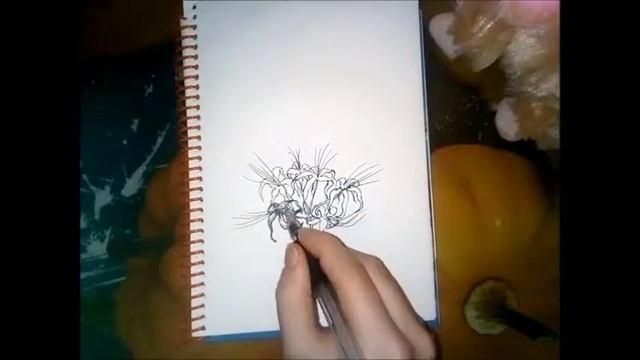 Ликорис. Эскиз, HowTOdraw смотреть онлайн