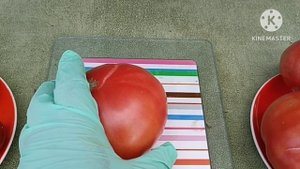 Сибирь. Обзор и дегустация томатов Воловье сердце и Воловье сердце Минусинское, в сравнении.