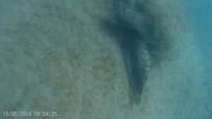 EGYPT - Marsa Alam 2014 - Coral Hills