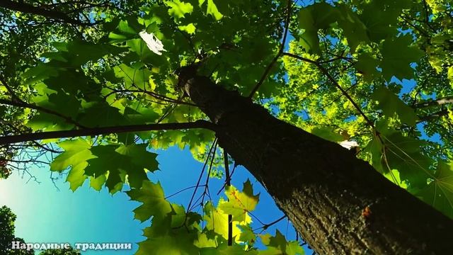12 октября народный праздник Феофан Милостивый. Что нельзя делать. Народные традиции и приметы