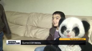 КАК ЖИВУТ ЦЫГАНЕ?