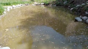 водяное колесо для перекачки воды ч.2