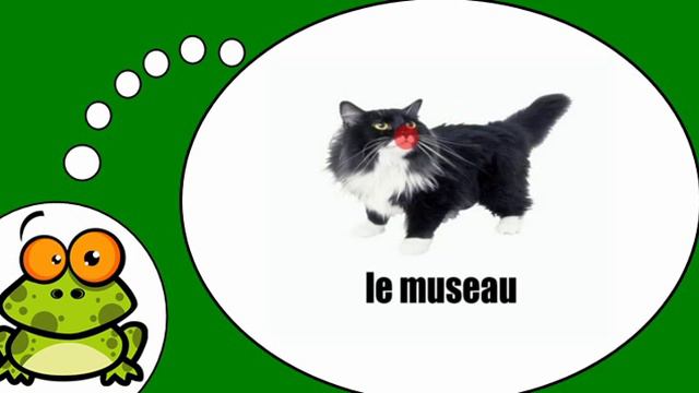 Я учу французский = Кошка # 1