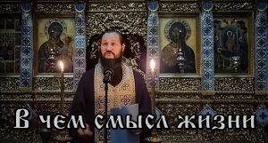 В чем смысл жизни