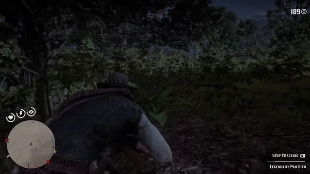 Red Dead Redemption 2 (Legendary Panther Hunting Guide) смотреть онлайн