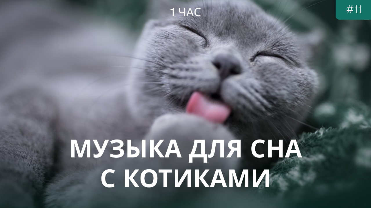 Расслабляющая музыка с кошками | Музыка для сна | Музыка для глубокого сна | Музыка для медитации