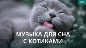 Расслабляющая музыка с кошками | Музыка для сна | Музыка для глубокого сна | Музыка для медитации