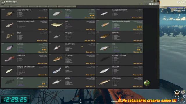 Fisher Online - Live - развитие.... Рейтинги.... В поисках трофейной рыбы... Стрим № 42 смотреть онлайн