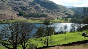 Земельный адвокат. Нюансы установления границ земельного участка в суде