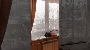 Продам 1к. Квартиру Новосибирск