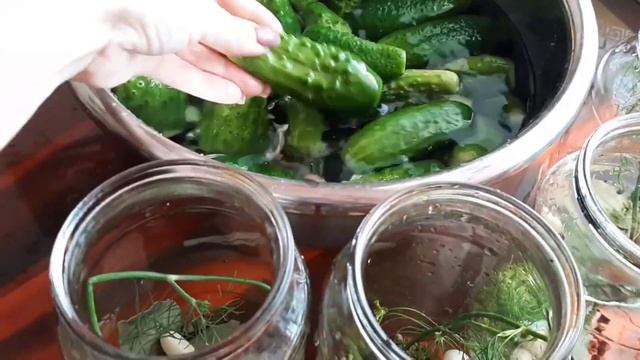 Самые вкусные и хрустящие  маринованные огурцы. Без стерилизации. В пикантном Херсонском соусе.