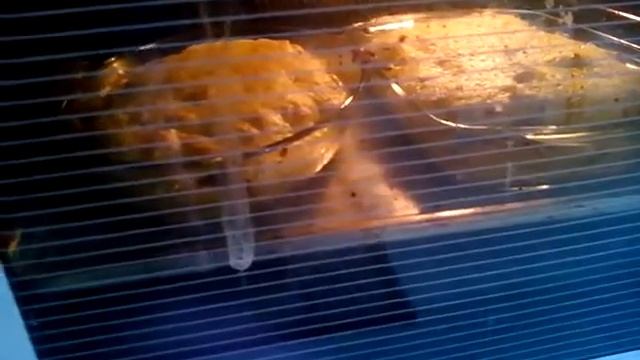 Картофельная запеканка с фаршем Kartoffelauflauf mit Hackfleisch Sept.2015 смотреть онлайн