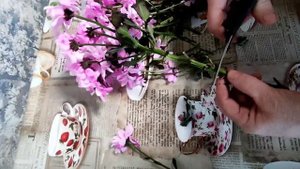 Размножаю хризантемы мультифлора. Укореняю черенок из букета. Спасаю и пикирую ГАЙЛАРДИЮ.