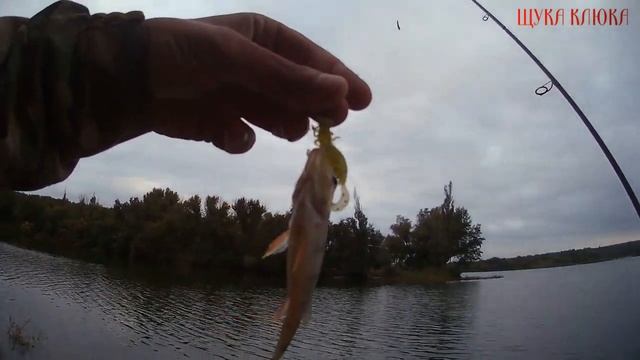 ВЕЧЕРНИЙ ЖОР окуня! Рыбалка на отводной поводок и силикон Fanatik Larva. Клюет как из пулемета... смотреть онлайн