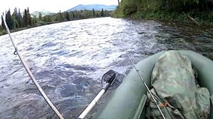 Ловим хариуса на реке Шинде 07 2021