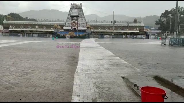 Tirumala Hills Weather Completely Changed After Continuous Rain смотреть онлайн