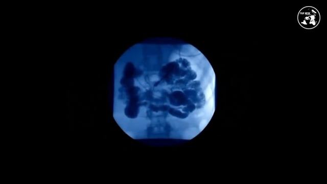  смотреть онлайн