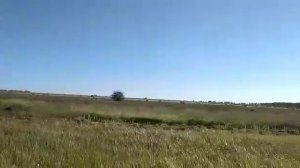 Сенокос у Берх А.К. с. Николаевка