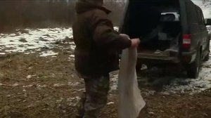 Охота на кабана с вышки, лабаза, засидки