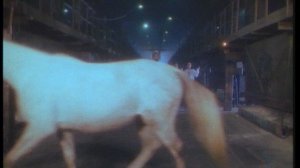 Captain Hollywood Project - Only With You