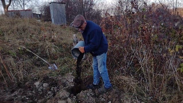 Осенние работы продолжаются.#огород#малина#дача#теплица смотреть онлайн