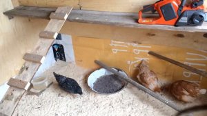 обогрев курятника, отопление курятника в прохладную погоду. #куры #обогрев