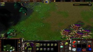 Warcraft III Reign of Chaos | Серия 23 | Вторжение на Калимдор. Духи Ашенвальского леса