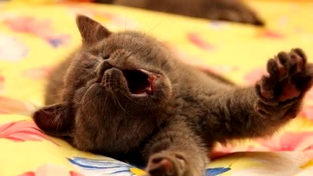 С - Сон для слабаков (alexswen) смотреть онлайн