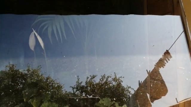 САД В КОНЦЕ АВГУСТА.?ПОСАДИЛА ТУИ.? ПЕРЕСАДИЛИ КЛУБНИКУ. ? смотреть онлайн