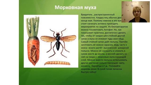 Как заложить фундамент богатого, здорового и экологически чистого урожая смотреть онлайн