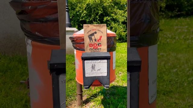 А ты убираешь за своей собакой? #путешествия #семьявкалининграде #юмор смотреть онлайн