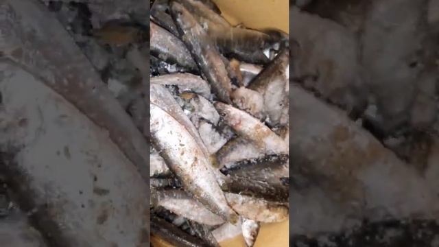 СЛАБОСОЛЁНАЯ КИЛЬКА сухой посол. Готова через 2 часа ? Рецепт в описании.