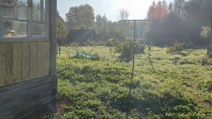07.09.2024. Выходные в Тверской области.