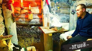 Один в ЛЕСНОЙ ИЗБЕ! Мороз - 23! Сделал голову для птиц!