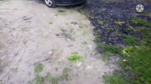 Красивые дорожки из природного камня своими руками.
