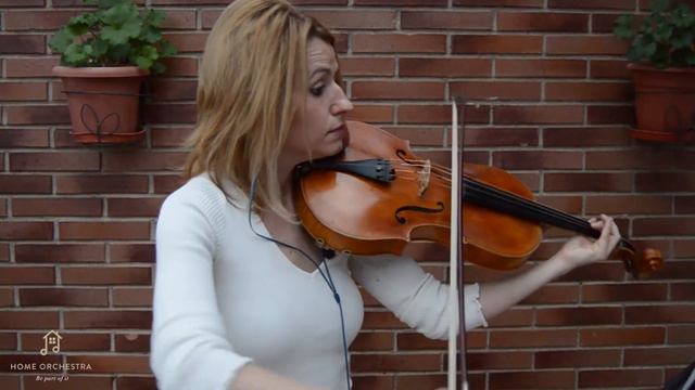 Beethoven's "Moonlight Sonata" for viola and orchestra смотреть онлайн