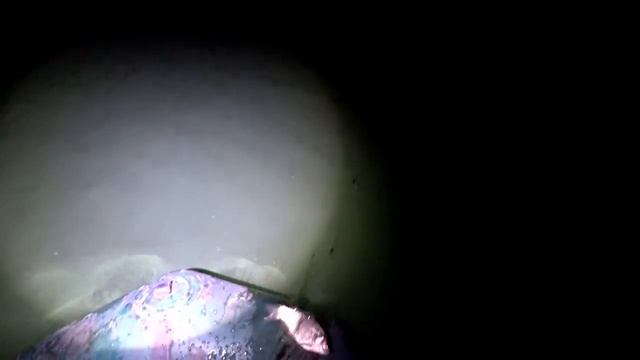 Ловля карася и плотвы на сеть!!! Ночная проверка сети на пруду, рыбалка сеткой!!!