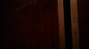 Электрические лифты V=1 м/с, г-п 320 кг (256)