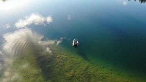 оз. Синовино, Псковской области