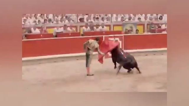Қазақстан Республикасының "Қызыл кітабы" 5-сынып. Боканова А.
