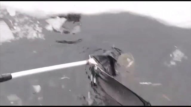 Аэрация пруда, простой и надёжный способ