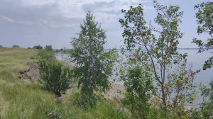 Муж привёз меня на озеро Иртяш