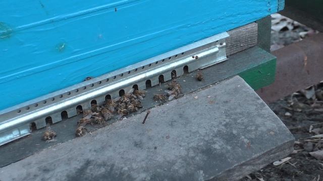 Обращаем внимание на мелочи.(15.02.2022) смотреть онлайн