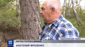 В лесах Новоселовского района появляются странные воронки