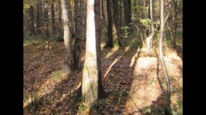 16-Осень этого года клип